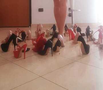 e tu?  quale sceglieresti