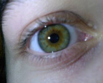 Public Photo of pertefrrr