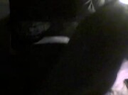 Amateur Video of BadBunny