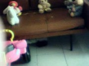 Amateur Video of CAVALLINA_PORCA